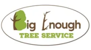 Big Enough Tree Service