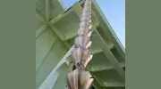 Rain Gutter Pros