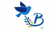 Bluebird Cleaning Company