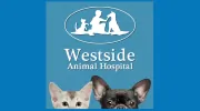 Westside Animal Hospital