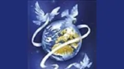 Vital Energy Services