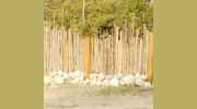 All West of Colorado