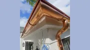 Evolution Gutters