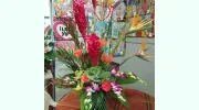 Aladdin Flowers