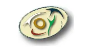 Body Energetics