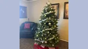 Lakeshore Apartments