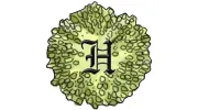 Hawkins Landscape Architecture