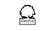 Revive Day Spa