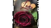 The Flower Express