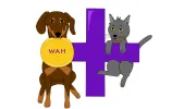 Waterfront Animal Hospital