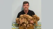 San Pablo Animal Hospital