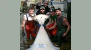North Country Charters