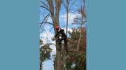 Pine Mountain Garden & Tree Services