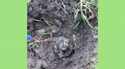 The Colony Sprinkler Repair