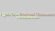 Little Tree Bilingual Montessori