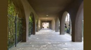 Borrego Springs Resort