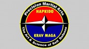 Precision Martial Arts