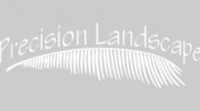 Precision Landscape
