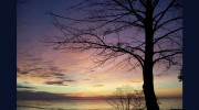 Lakeshore Therapy