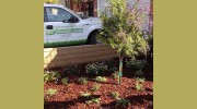 Garden Works Tree Trimming