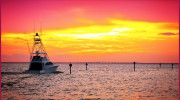 Anne Arundel Properties