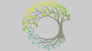 Mittag Holistic Chiropractic