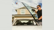 Armadillo Auto Glass