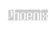 Phoenix Engineering