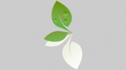 Natural Image Skin Center