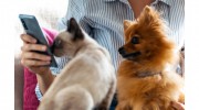 Eastview Veterinary Clinic