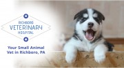 Richboro Veterinary Hospital