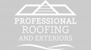 Professional Roofing