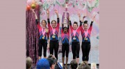 Stars Gymnastics Tampa