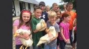 Three Crowns Farm
