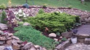 Jennings Garden Center