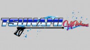 Tsunami Softwash Pro