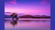 Life Journey Counseling