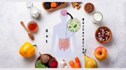 Sincere Nutrition