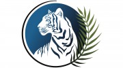 Blue Tiger Massage