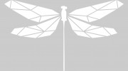Dragonfly Acupuncture & Massage