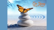 Qin Zhang Massage Therapy