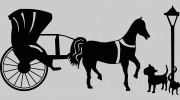 HomeCare Veterinary Clinic