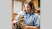 Dwight Veterinary Clinic