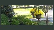 Alpine Gardens Landscaping Services