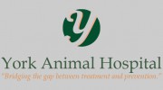York Animal Hospital