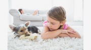 1 Choice Carpet Cleaning