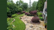 Reel Landscape Management