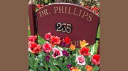 Phillips Dentistry