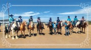 Lucky Star Equine Management & Training
