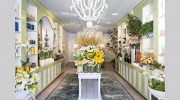 Avant Garden